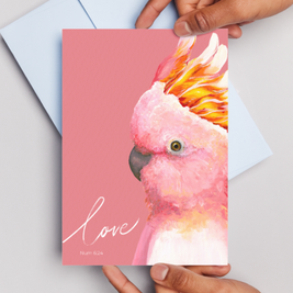 Love (Num 6:24) Pink Cockatoo - Greeting Card