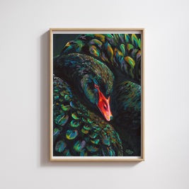 Black Swan Stella - Art Print