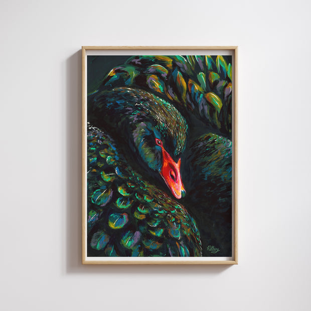 Black Swan Stella - Art Print