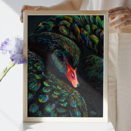 Black Swan Stella - Art Print