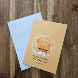 Greeting Card - Happy Birthday You Old Grump. Jeremiah 29:11