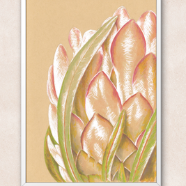 Protea Art Print