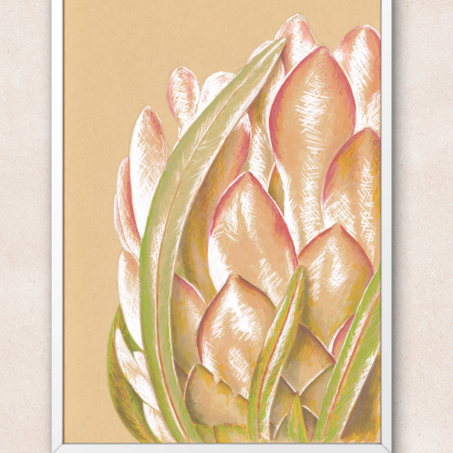 Protea Art Print