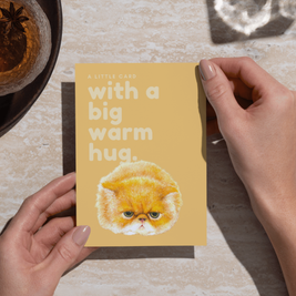 Big Warm Hug - Greeting Cards