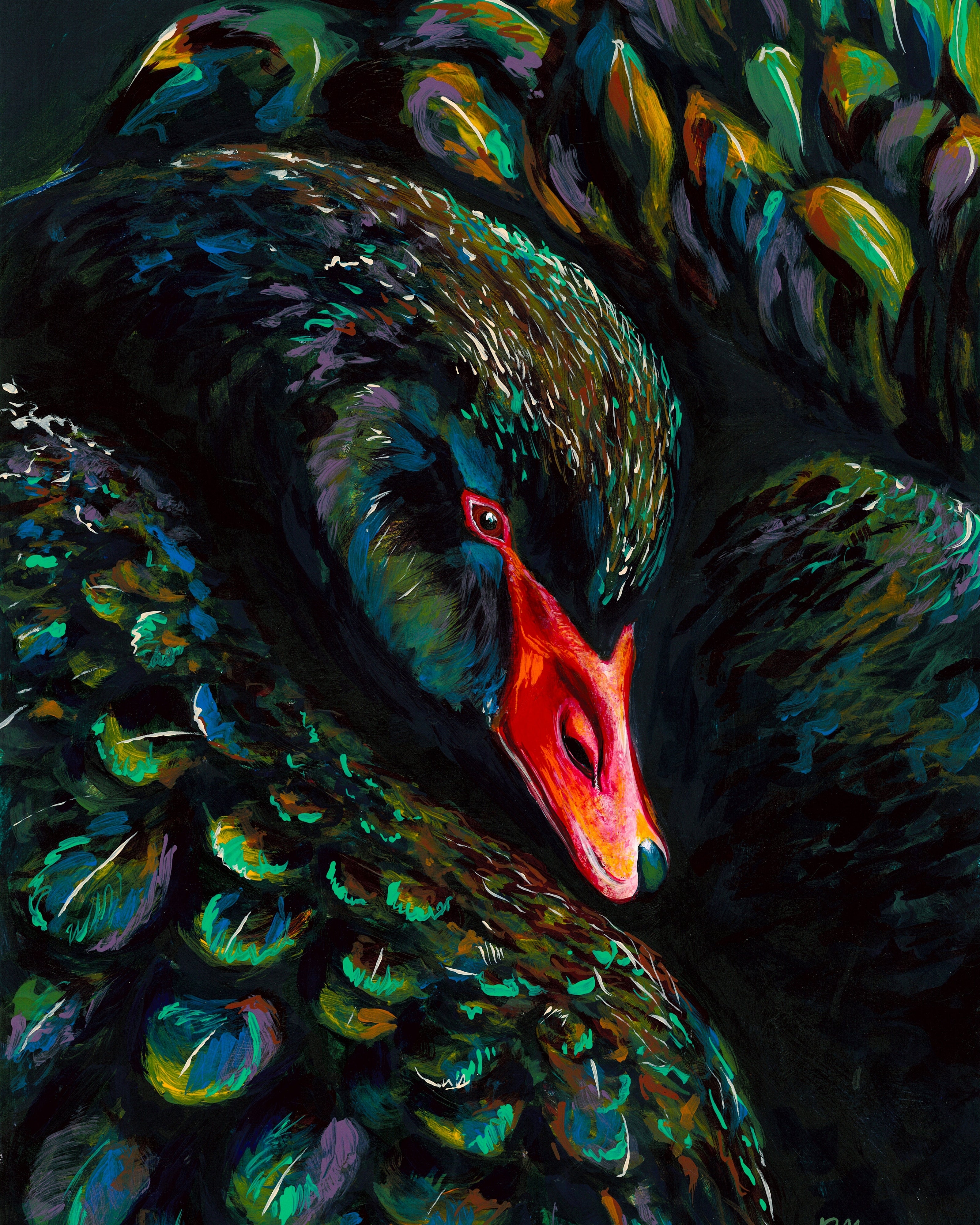 Black Swan Stella - Art Print