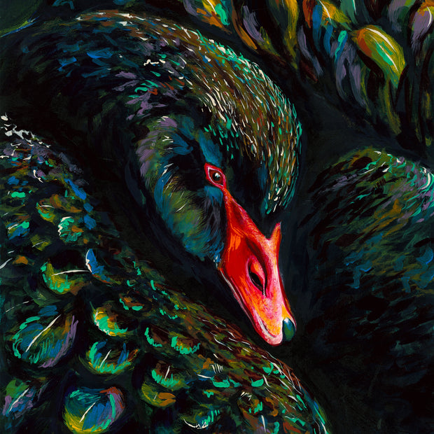 Black Swan Stella - Art Print