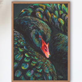 Black Swan Stella - Art Print