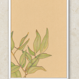 Gum Leaves Art Print