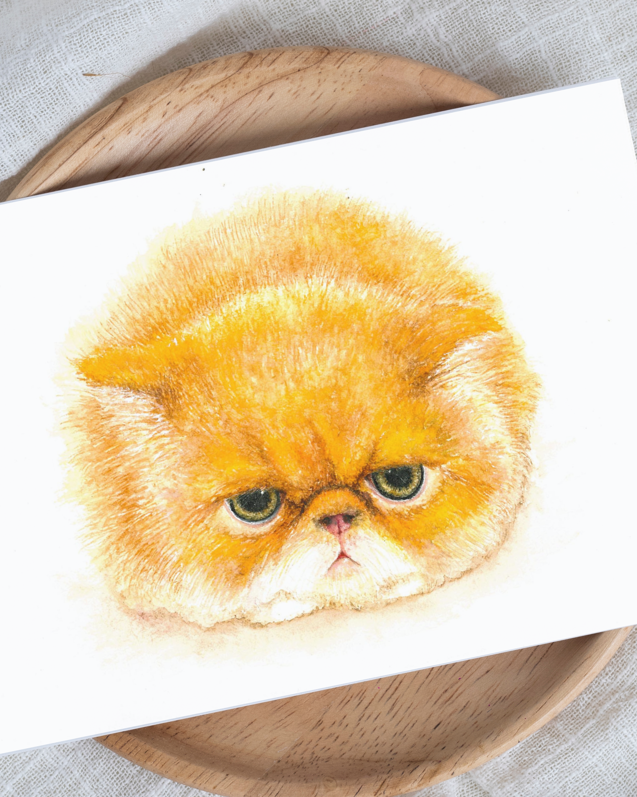 Grumpy Cat Art Print