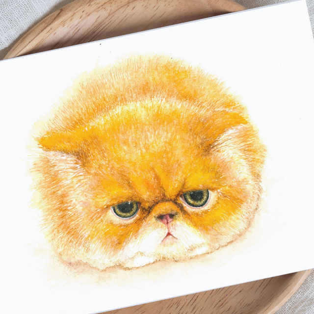 Grumpy Cat Art Print