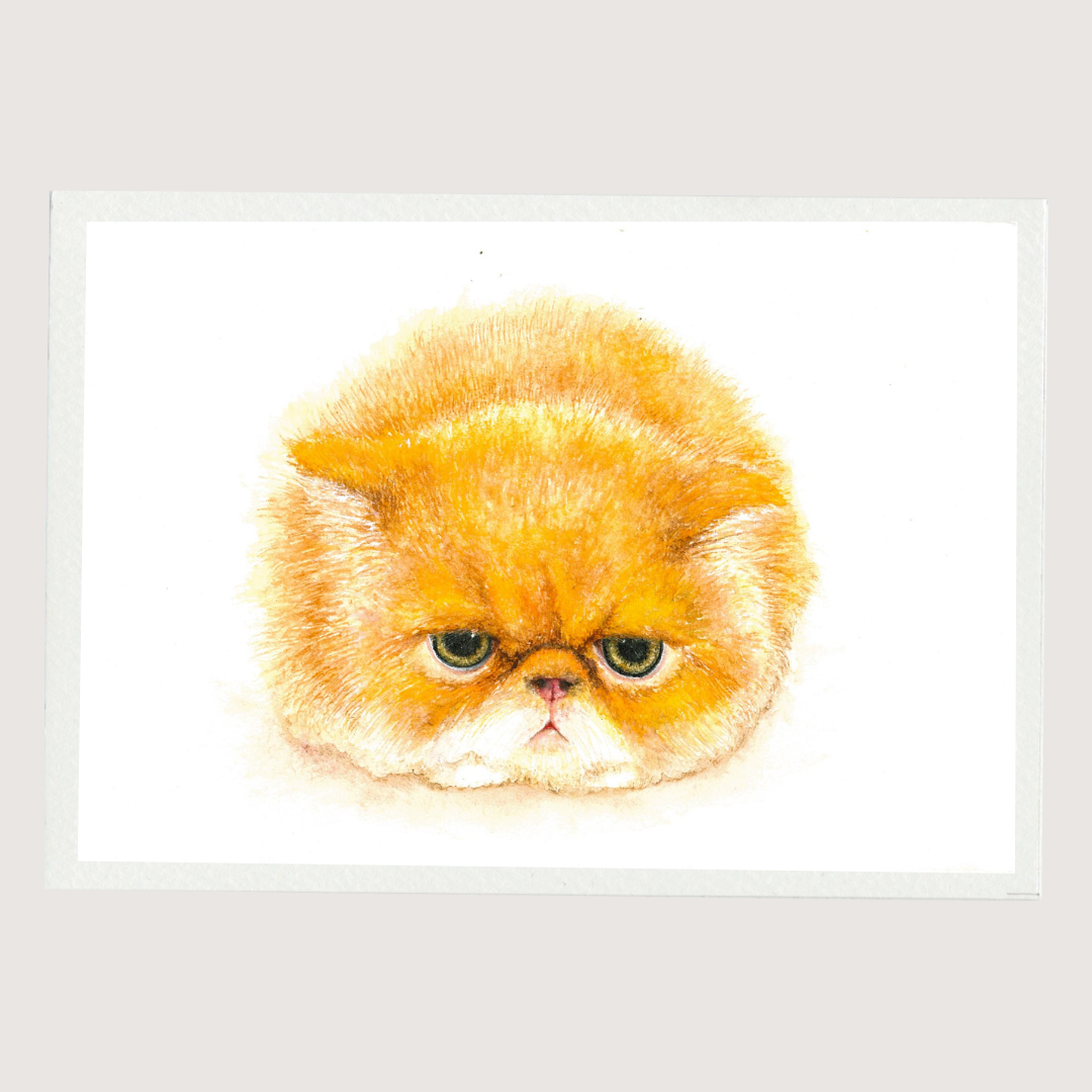 Grumpy Cat Art Print