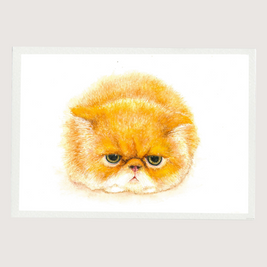 Grumpy Cat Art Print