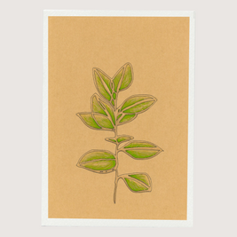 Gum Branch Art Print