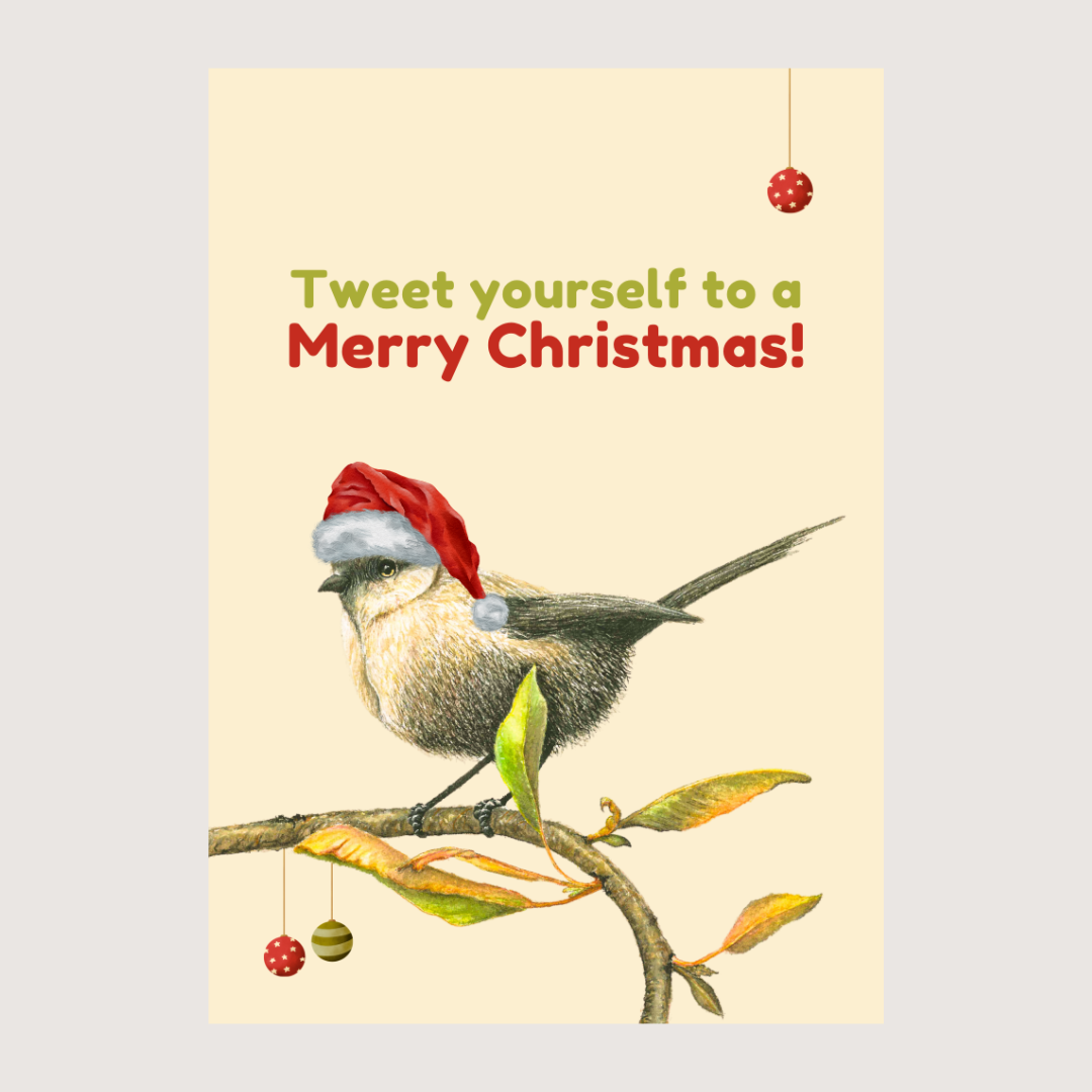 Tweet Yourself to a Merry Christmas White-Breasted Robin - Greeting Card