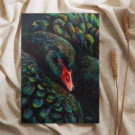 Black Swan Stella - Art Print