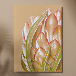 Protea Art Print
