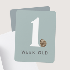Baby Milestone Cards (Aussie Animals Edition)