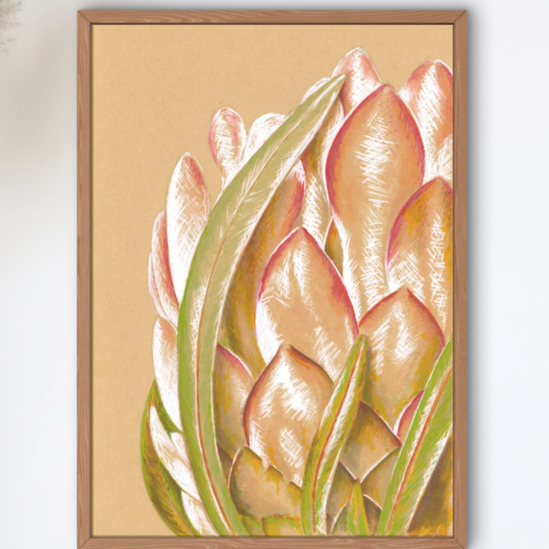 Protea Art Print