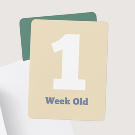 Baby Milestone Cards (Sunshine Edition)