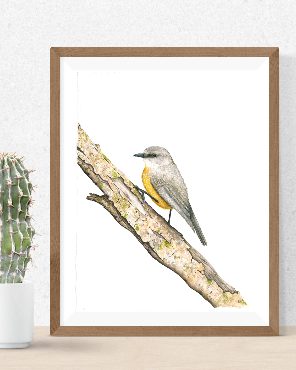 Western Yellow Robin