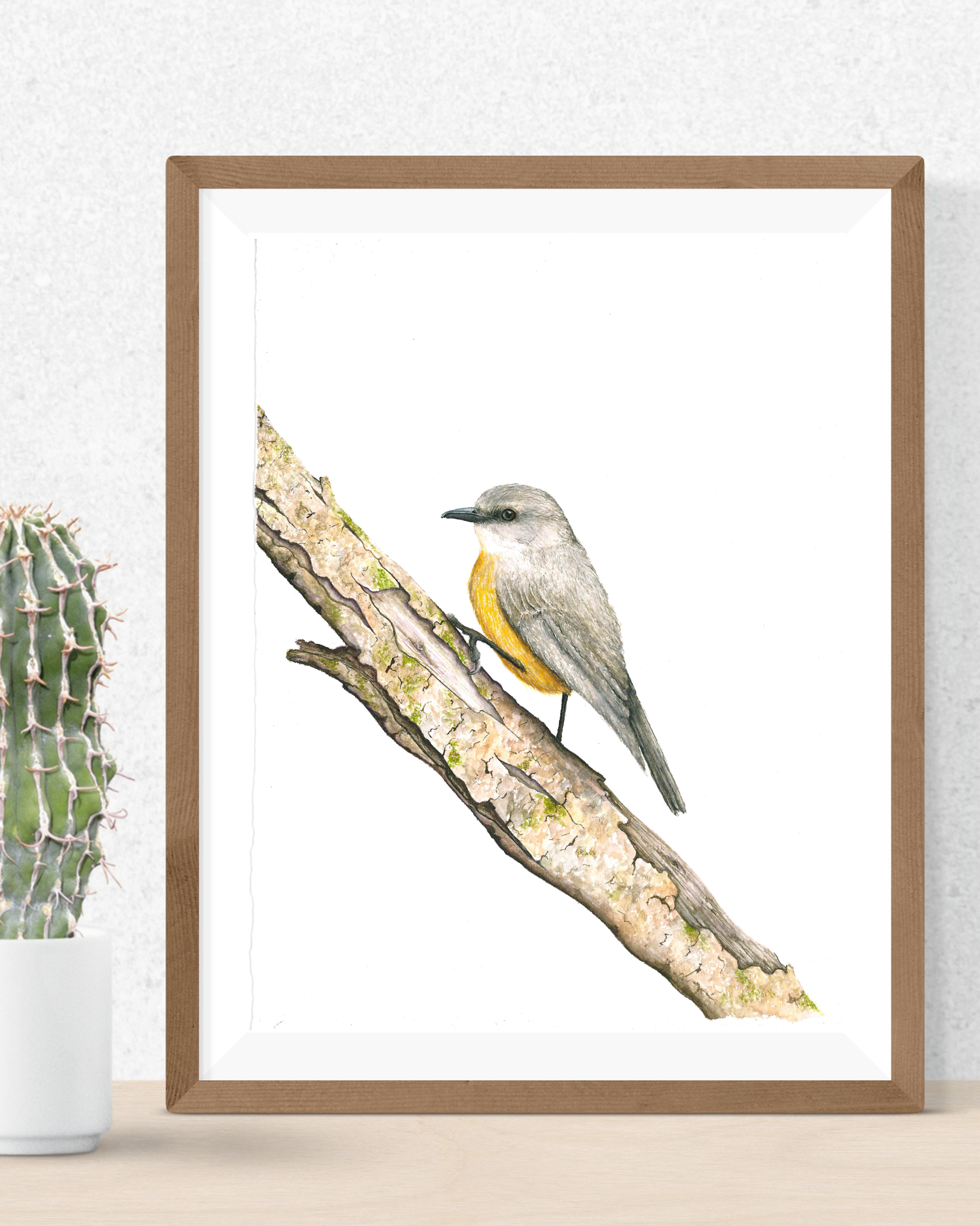 Western Yellow Robin