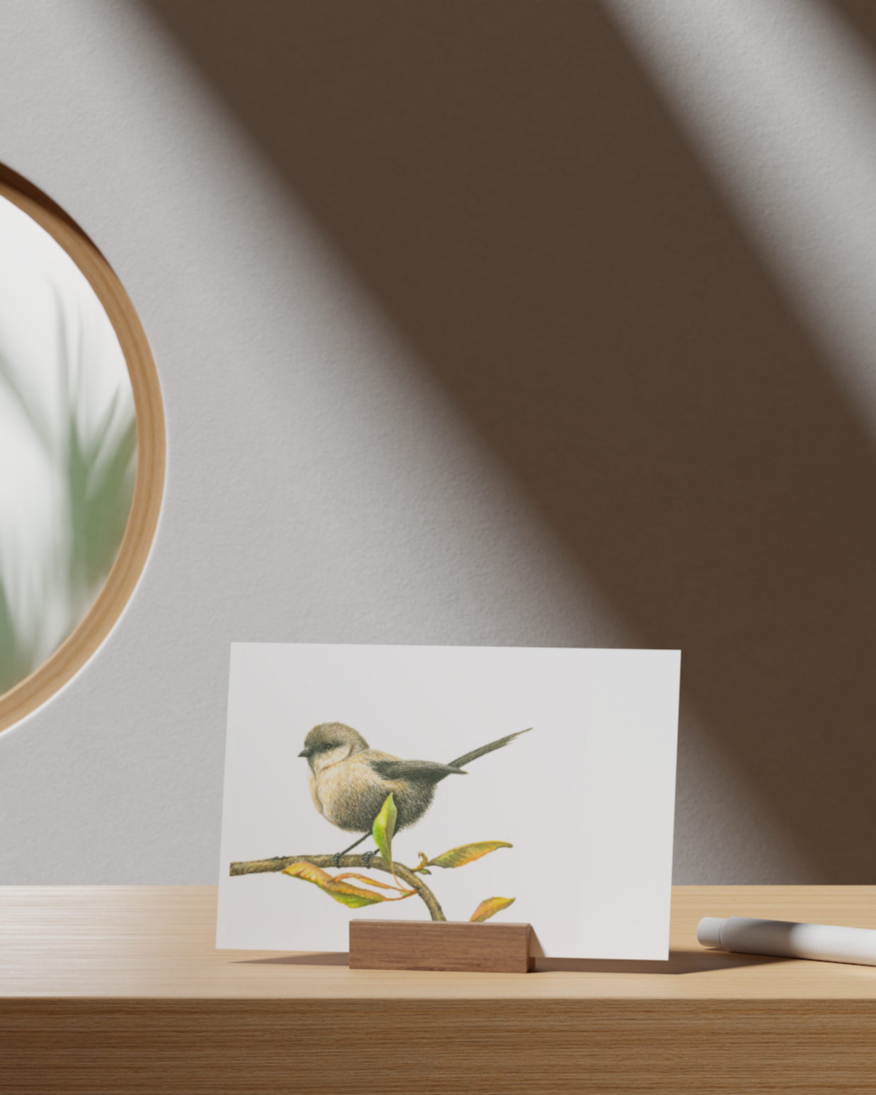 White-Breasted Robin