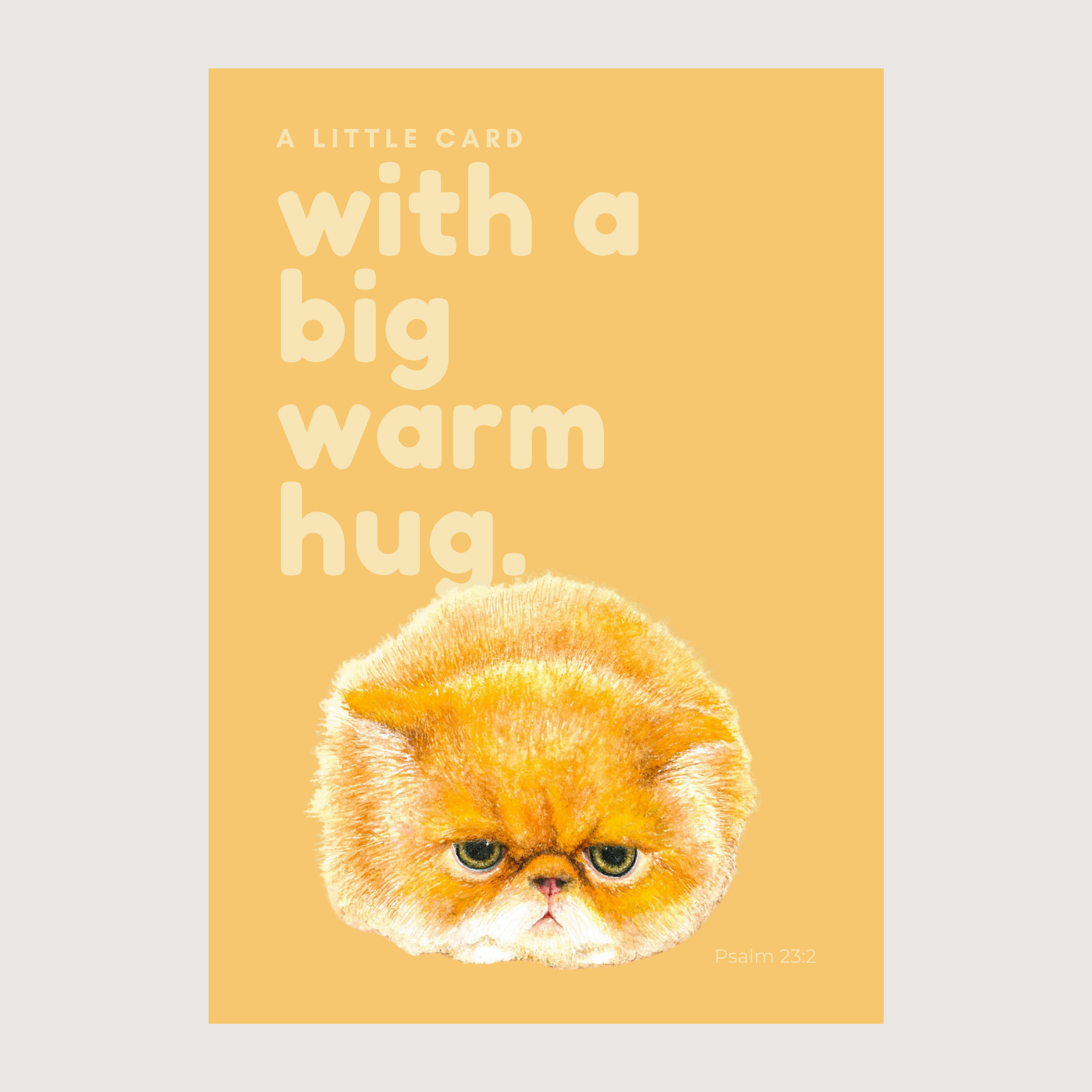 Big Warm Hug - Greeting Cards