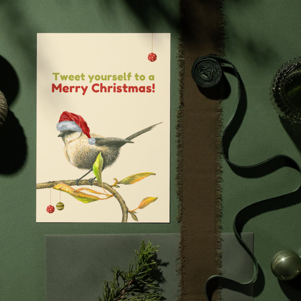 Christmas White-Breasted Robin