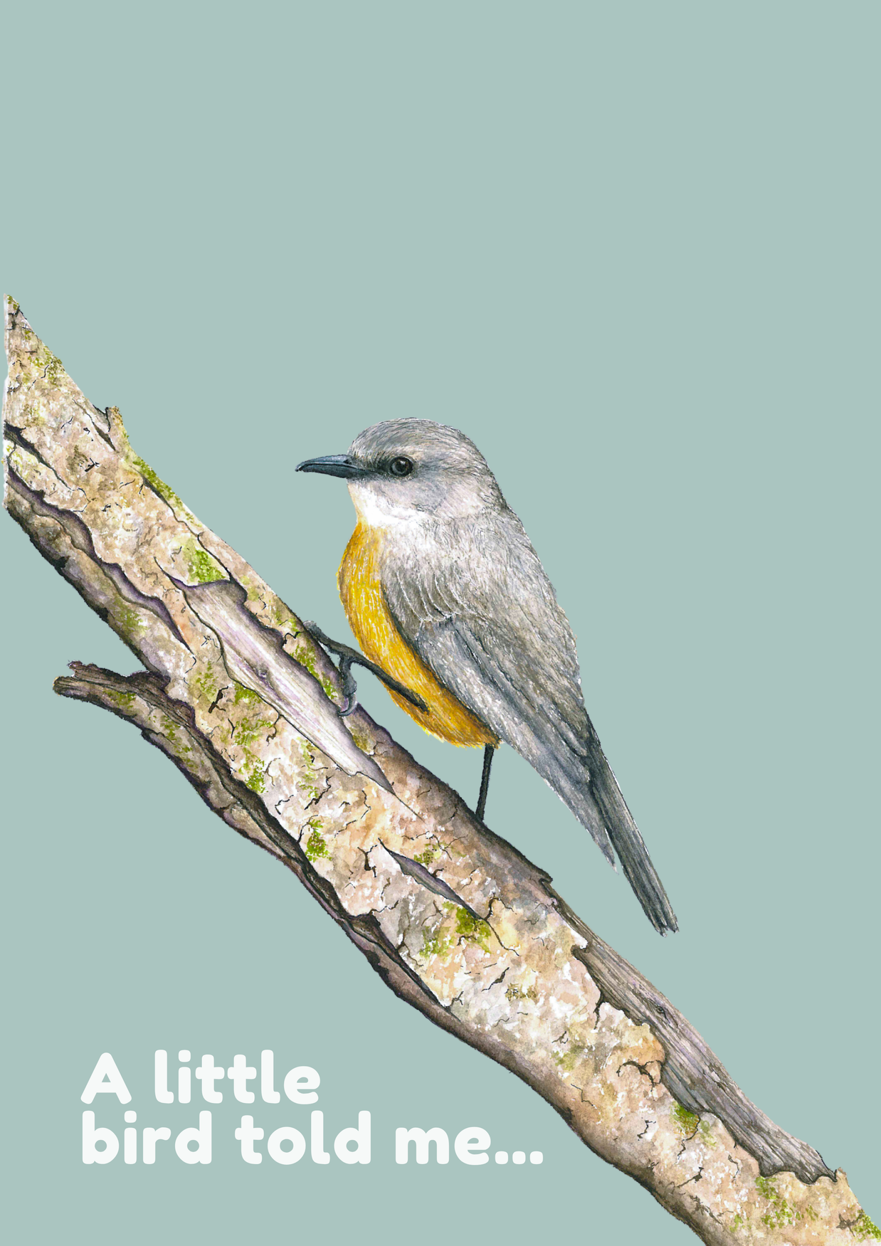 A Little Birdy Told Me - Greeting Cards