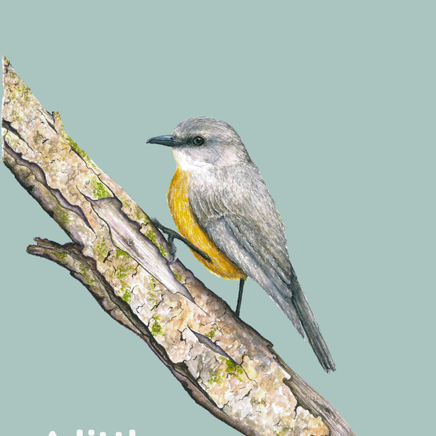 A Little Birdy Told Me - Greeting Cards