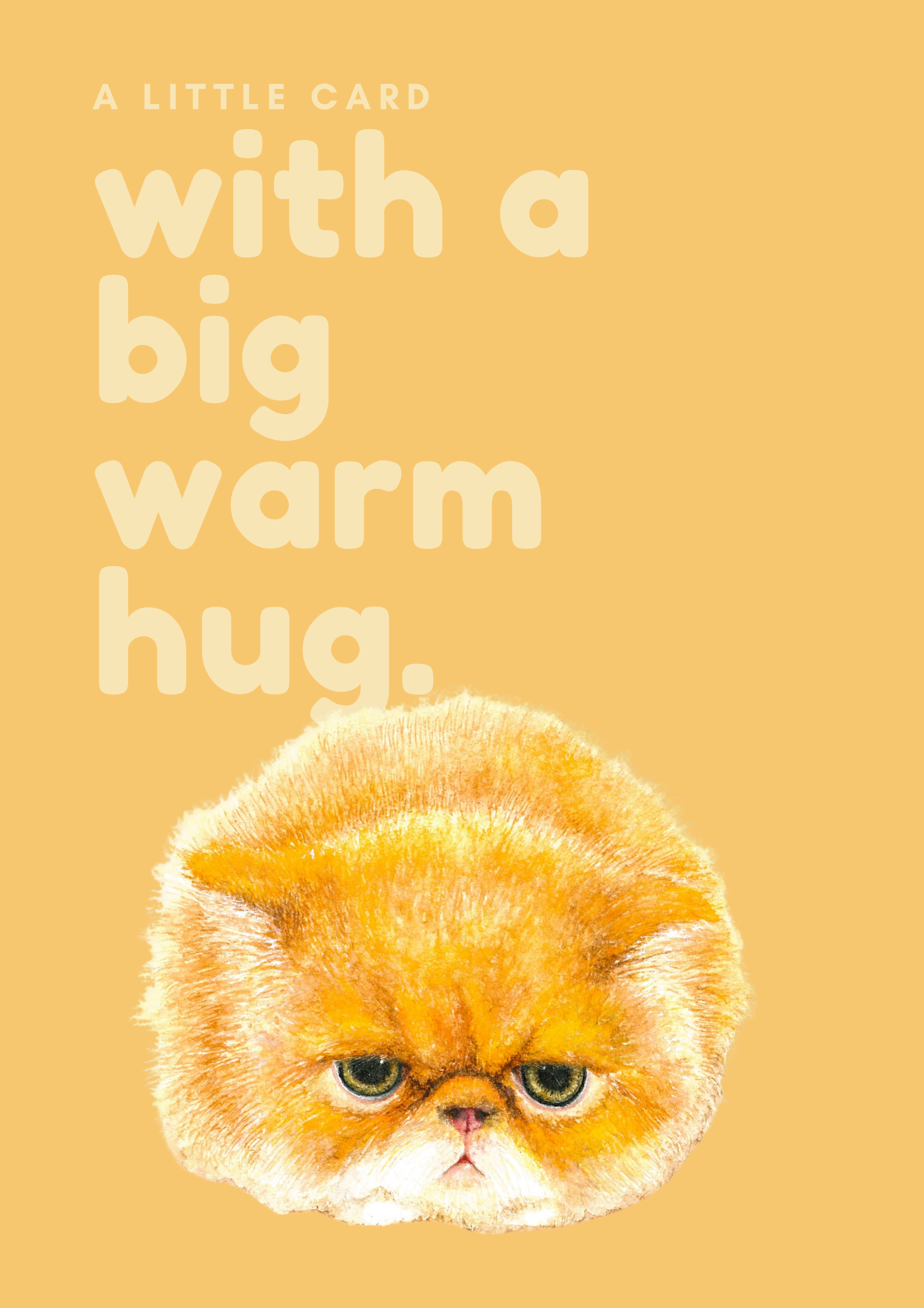 Big Warm Hug - Greeting Cards