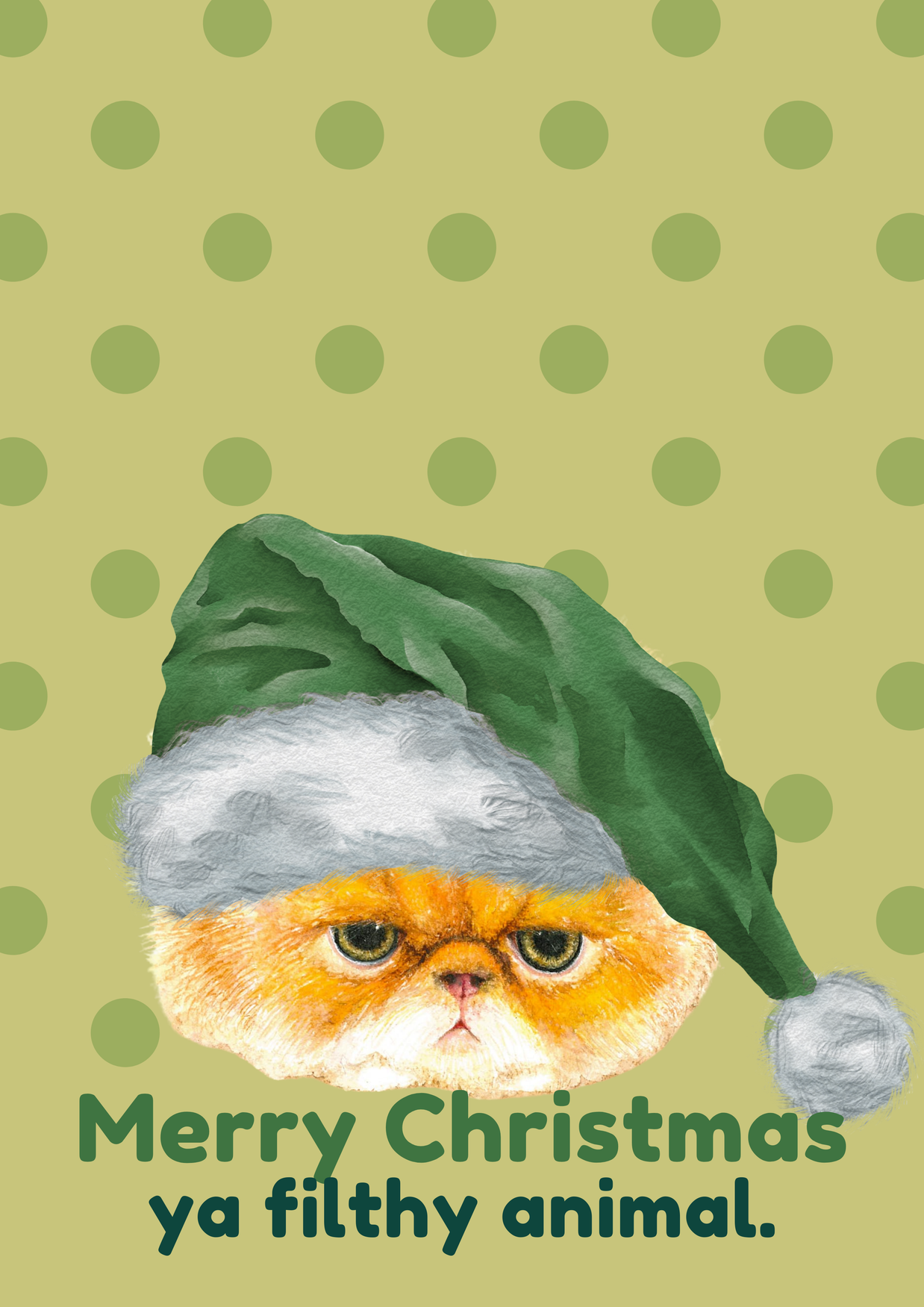 Greeting Card 5 Pack Christmas (Mixed)