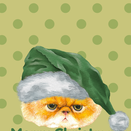 Greeting Card 10 Pack Christmas (Mixed)