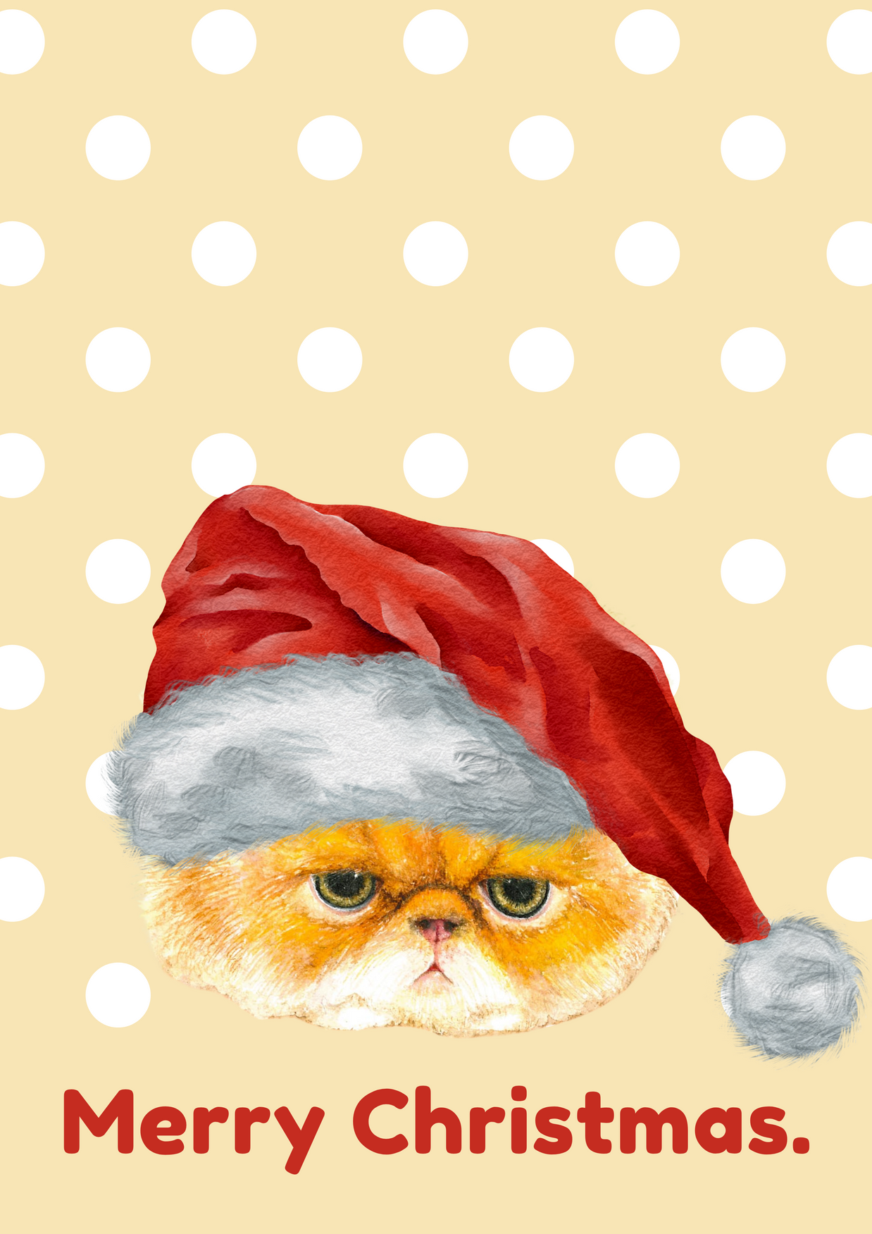 Greeting Card - Christmas Grumpy Cat