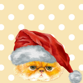 Greeting Card - Christmas Grumpy Cat