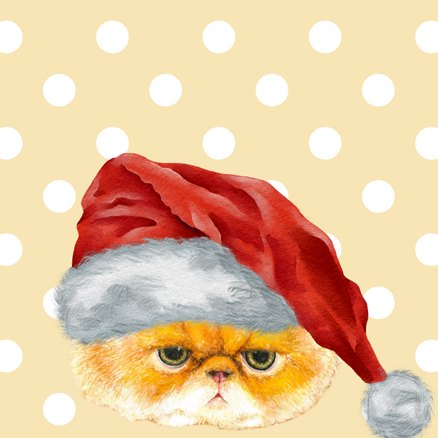 Greeting Card - Christmas Grumpy Cat