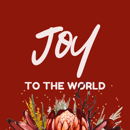 Greeting Card 10 Pack Christmas (Mixed)