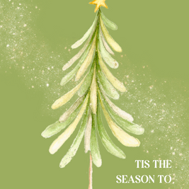 Greeting Card 5 Pack Christmas (Mixed)