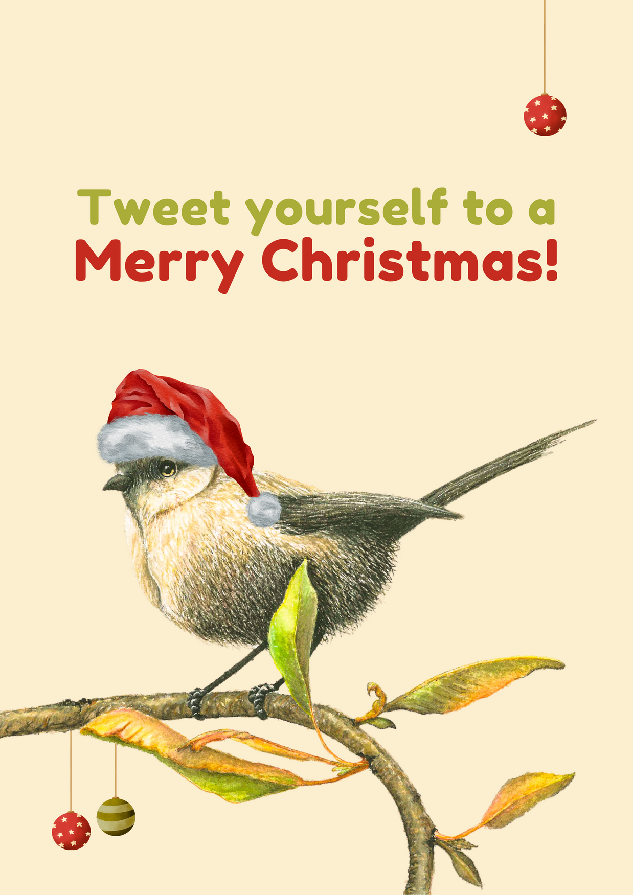 Christmas White-Breasted Robin