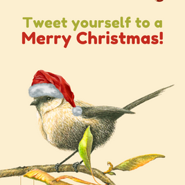 Greeting Card 10 Pack Christmas (Mixed)