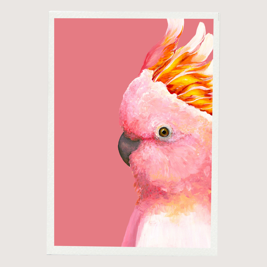 Pink Cockatoo Art Print