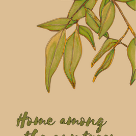 Home Among The Gumtrees - Greeting Cards