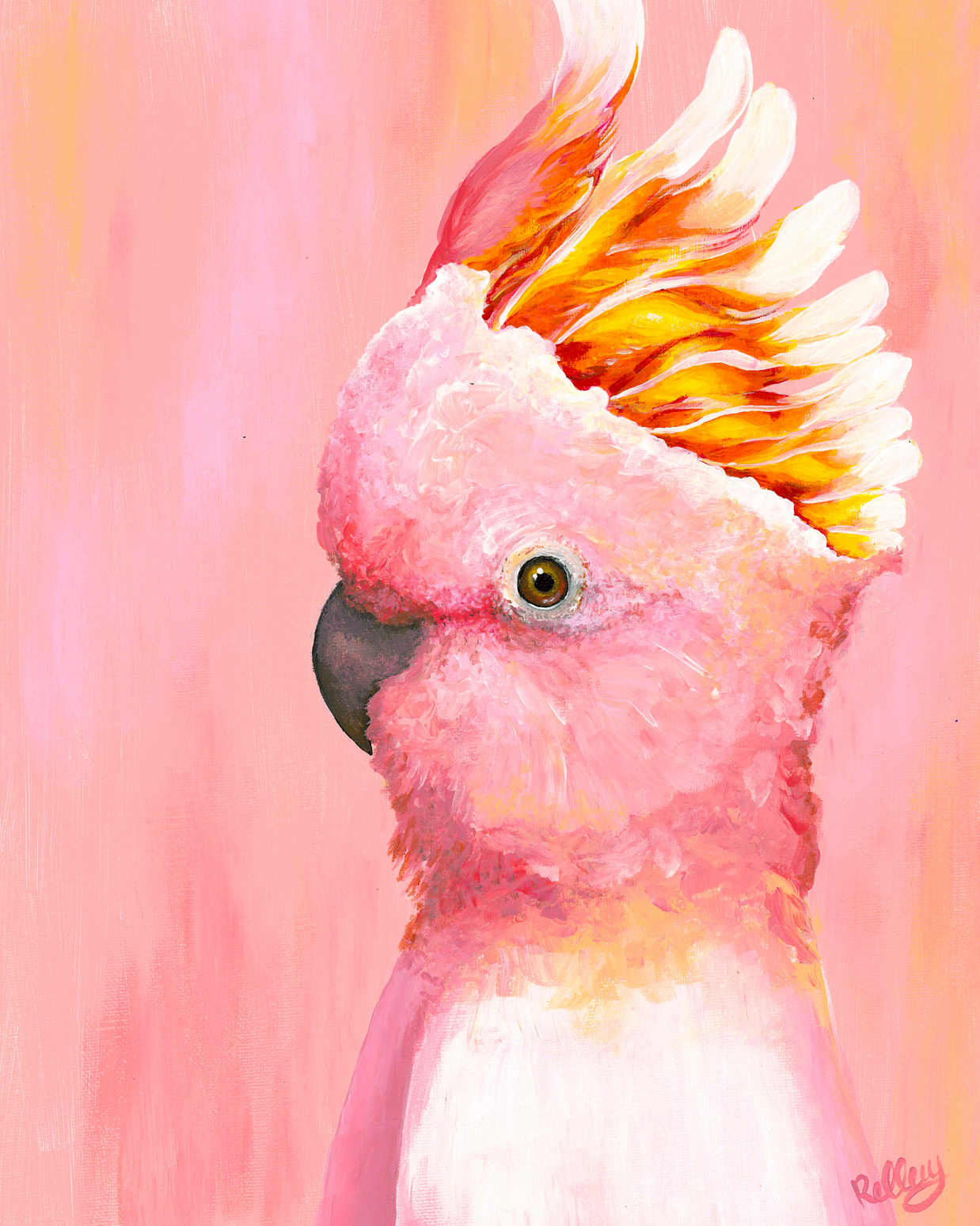 Pink Cockatoo Art Print