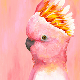 Pink Cockatoo Art Print