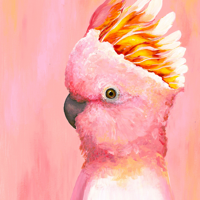 Pink Cockatoo - Art Print