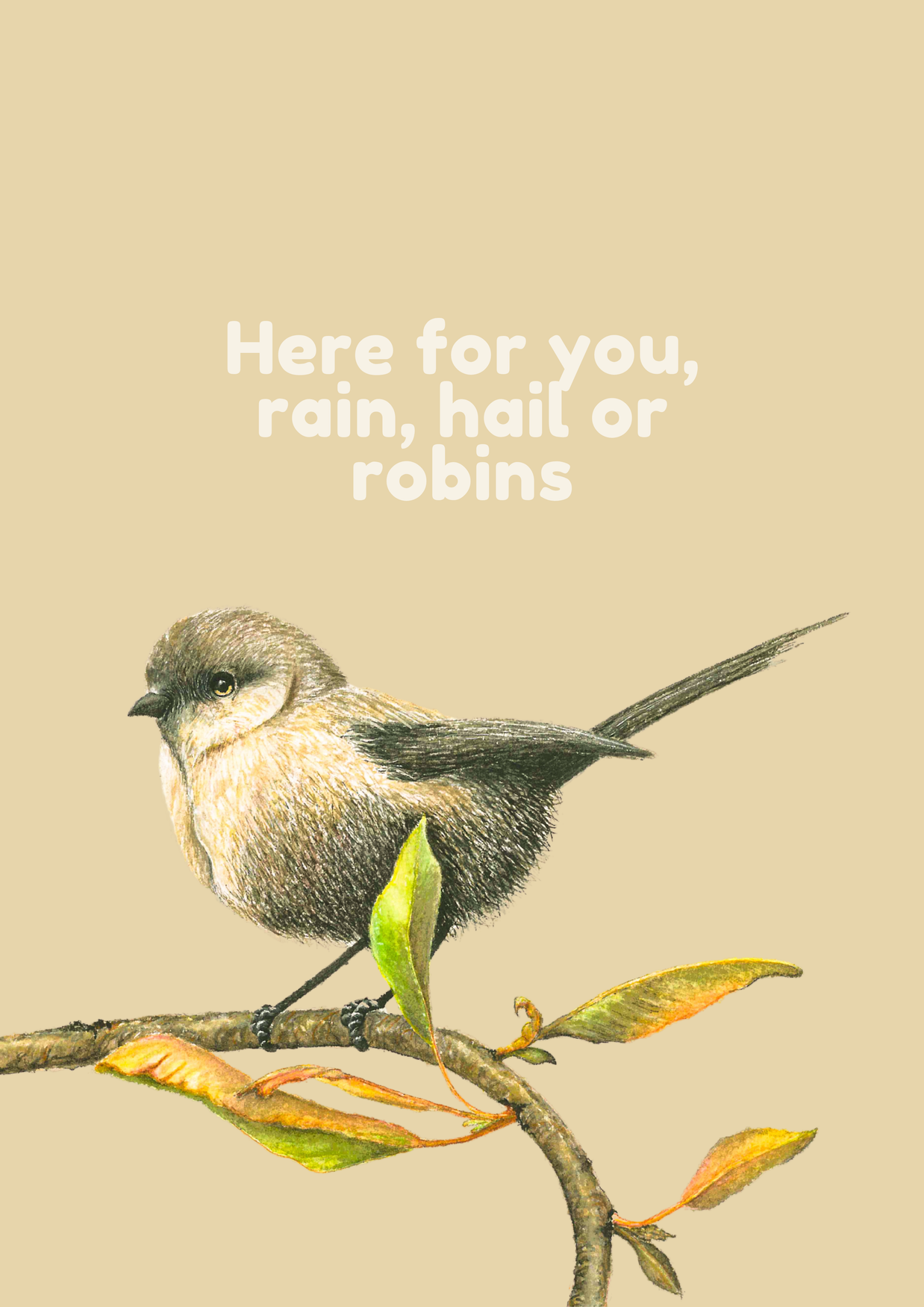 Rain, Hail or Robins - Greeting Cards