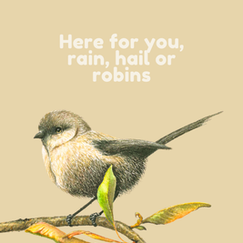 Rain, Hail or Robins - Greeting Cards