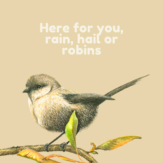 Rain, Hail or Robins - Greeting Cards