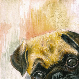 Pug Puppy Art Print