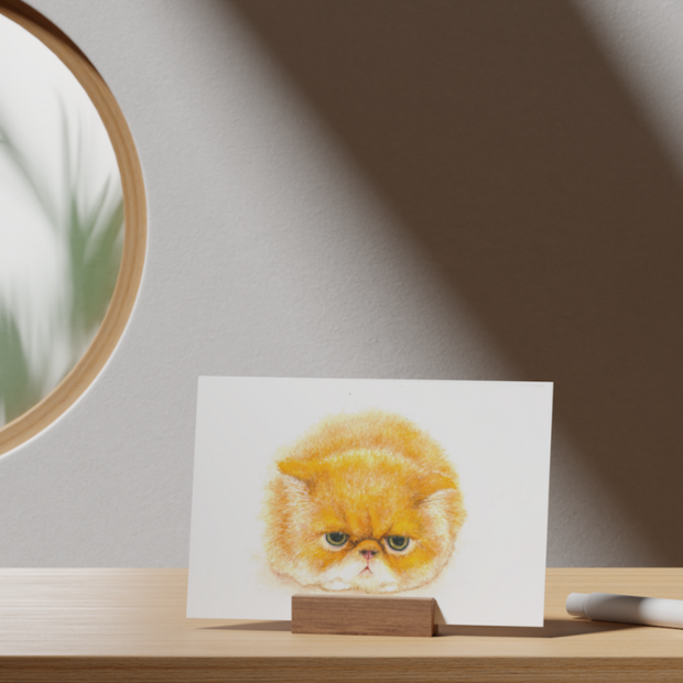 Grumpy Cat Art Print